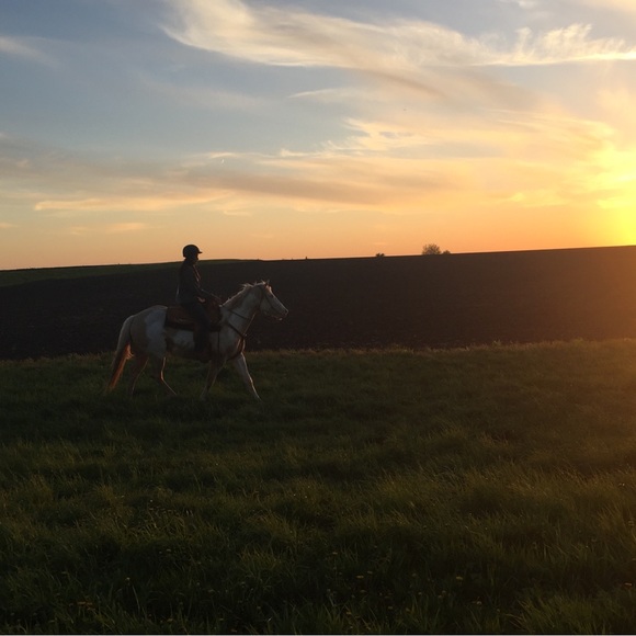 Meet your Posher, Ashtyn - Picture 3 of 6